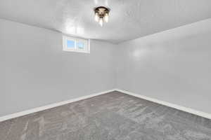 Basement guest room with en-suite bathroom.