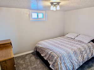 Basement guest room with en-suite bathroom.  This photo was taken by the seller to show the room furnished.