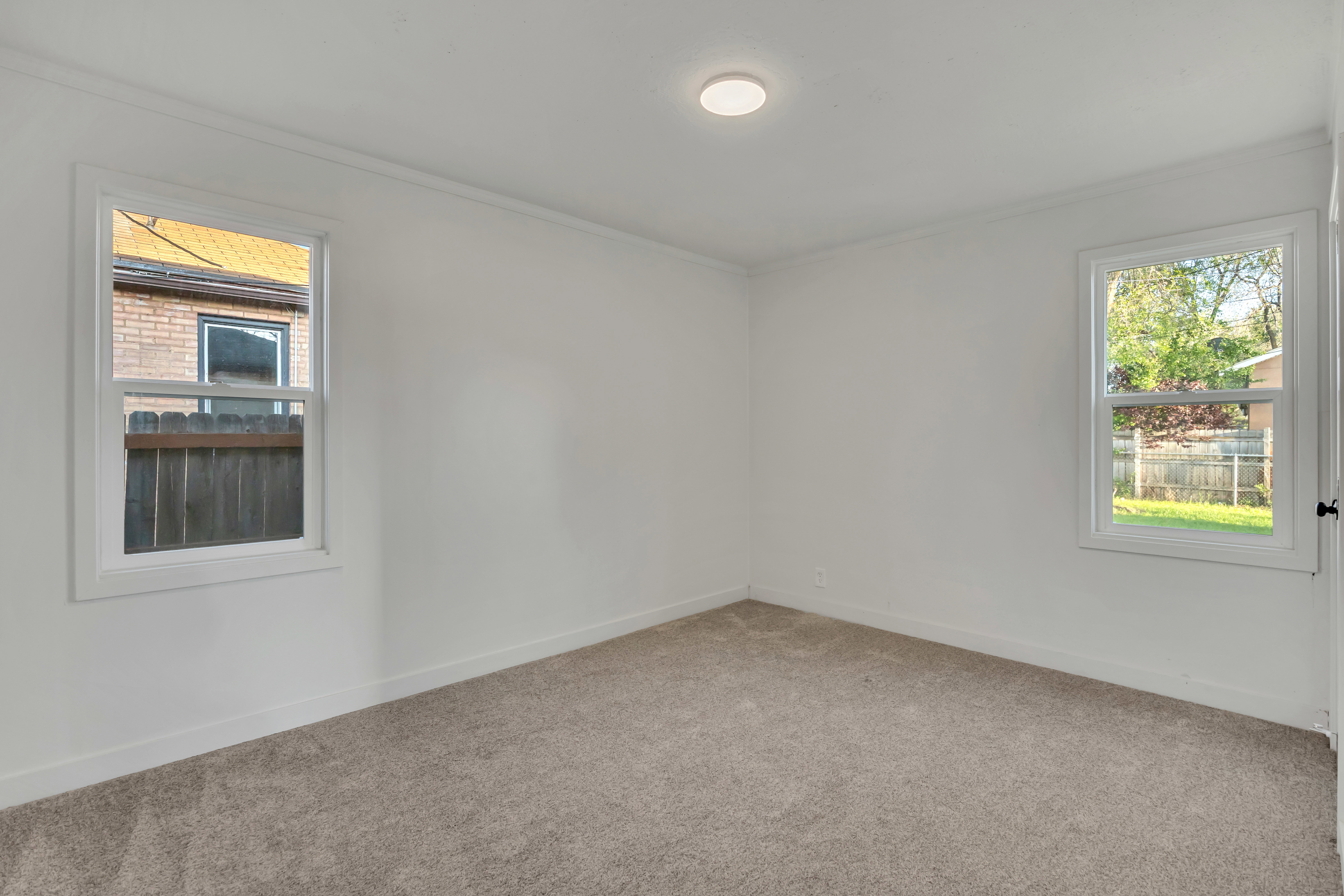Spare room featuring carpet floors, crown molding, and healthy amount of natural light
