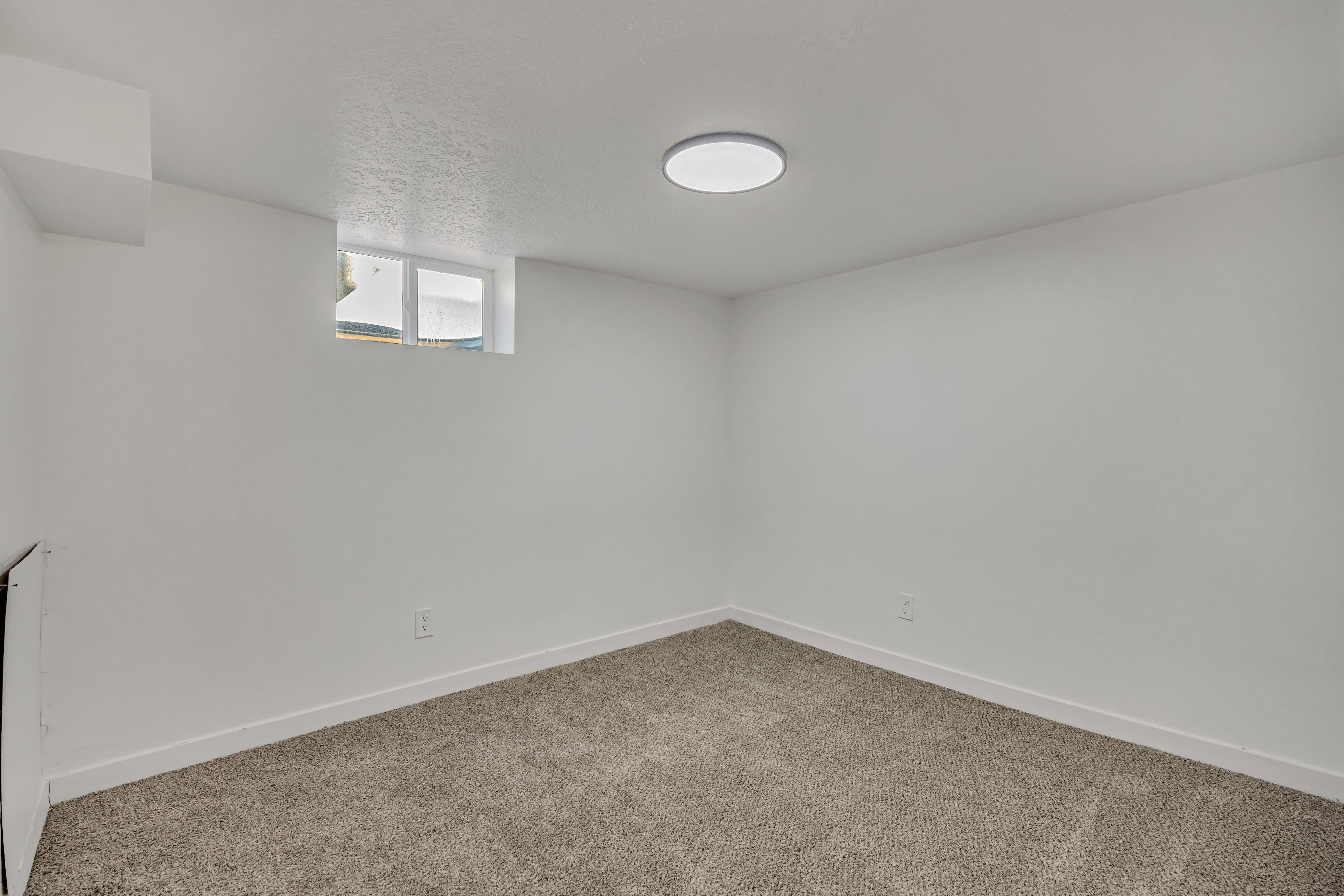 Basement with carpet floors and a textured ceiling