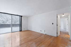 Spare room featuring expansive windows and light wood-style flooring