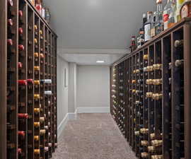 Wine Cellar, could be used for same purpose or as extra storage