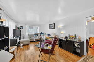 Living area featuring hardwood flooring, natural light, and a ceiling fan