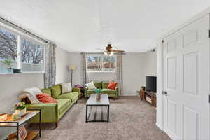 Basement living room with full daylight