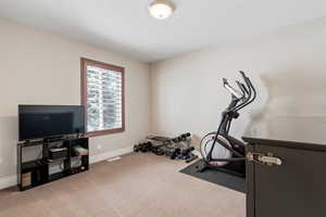 Bedroom 2 / Exercise Room / Craft room / Etc.