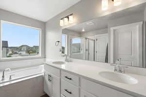Bathroom with double vanity, a shower stall, and a bath