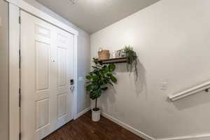 Entryway featuring dark wood finished floors and a textured ceiling
