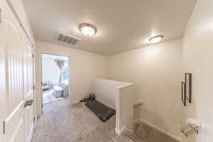 Laundry room featuring a textured ceiling and light carpet