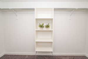 Walk in closet with carpet floors