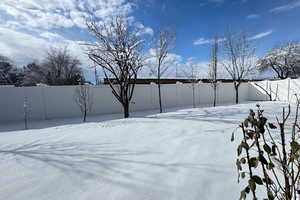View of snowy yard