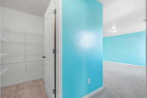 Hall featuring Large Closet light carpet