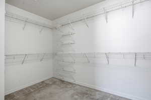Primary Walk-in closet with light carpet