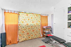 Exercise area featuring a textured ceiling and light carpet