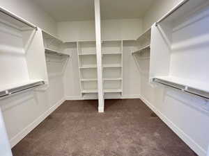 Walk in closet with dark carpet