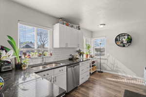 Kitchen featuring stainless steel dishwasher, tasteful backsplash, white cabinetry, dark wood-type flooring, and dark stone countertops