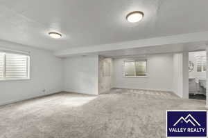 Below grade area with plenty of natural light, light colored carpet, and a textured ceiling