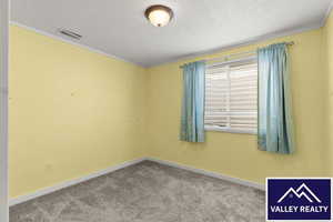 Carpeted spare room featuring crown molding