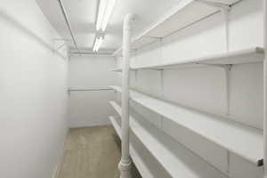 Walk in closet featuring light colored carpet