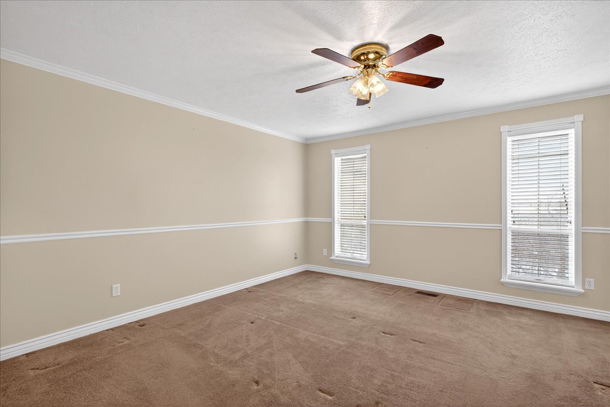 Spare room with ceiling fan, light colored carpet, a textured ceiling, and crown molding
