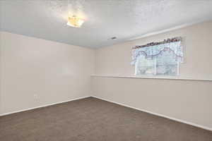 Unfurnished room with carpet floors and a textured ceiling