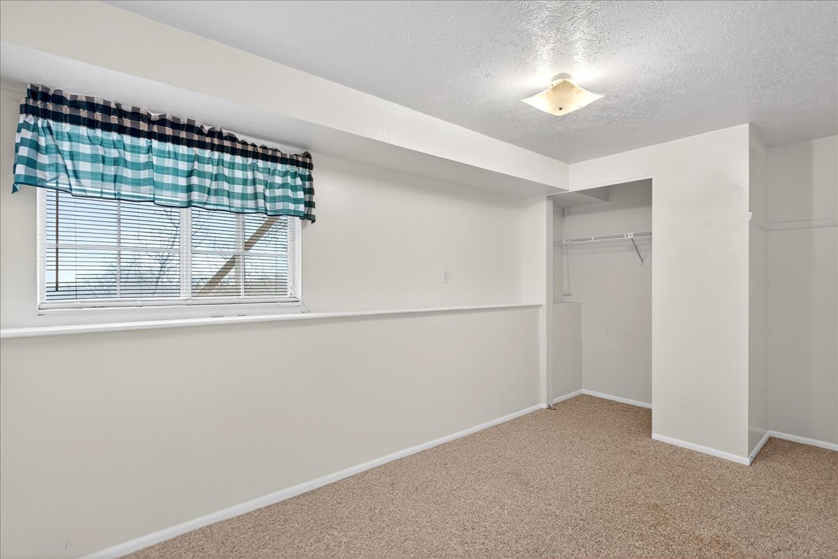 Walk in closet with light carpet