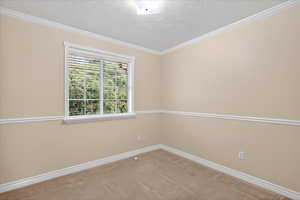 Unfurnished room featuring carpet floors, crown molding, and a textured ceiling