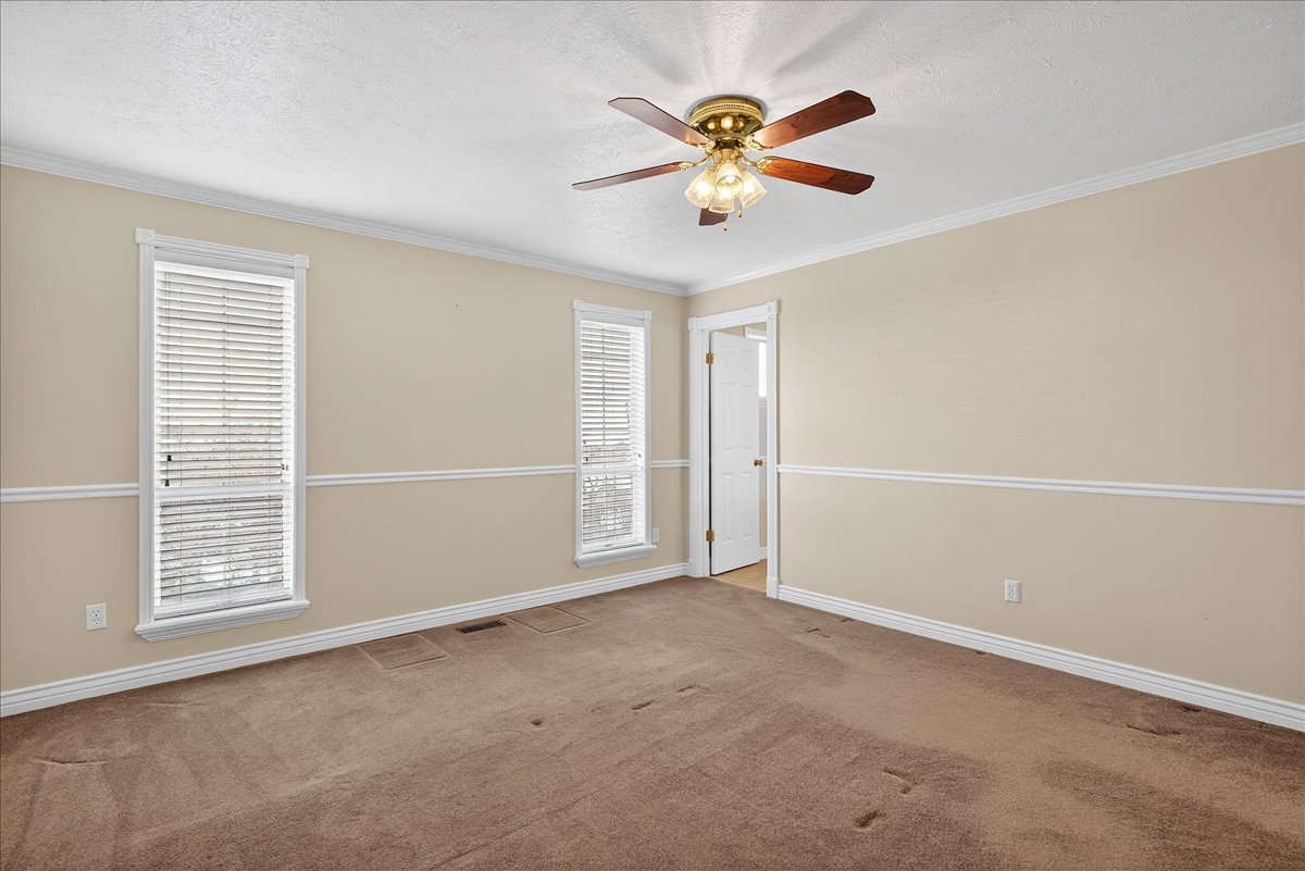 Spare room with carpet flooring, ceiling fan, a textured ceiling, and ornamental molding