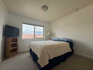 Bedroom with light carpet
