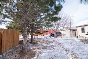 View of snowy yard