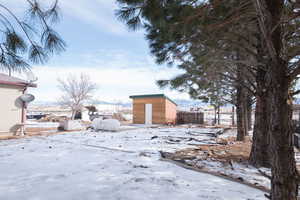 Yard covered in snow featuring a storage unit