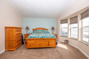Bedroom featuring light carpet and ornamental molding