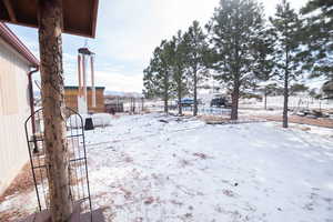 View of snowy yard
