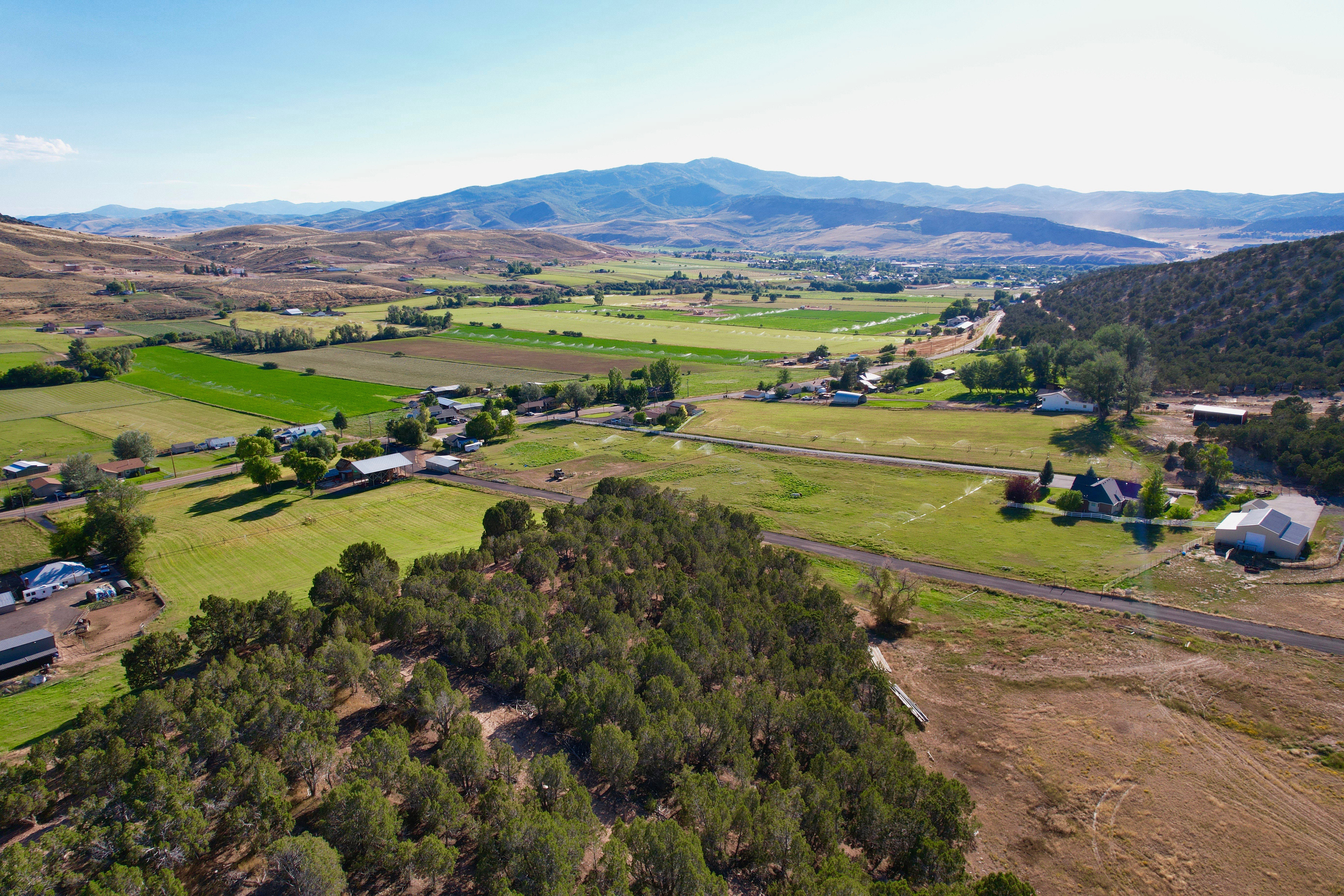 Aerial view of sparsely populated area with a mountain backdrop