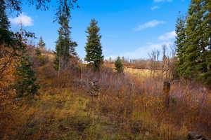 View of undeveloped land