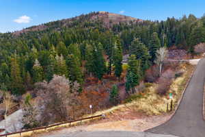 View of mountain background