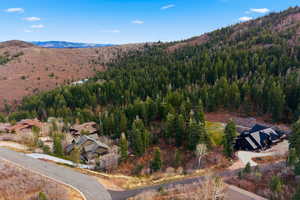 Aerial view of mountains and a heavily wooded area