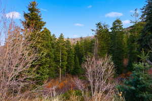 View of undeveloped land