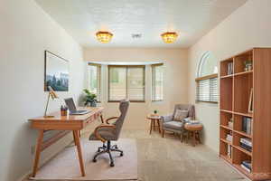 Office space featuring light carpet and a textured ceiling