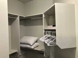 View of walk in closet