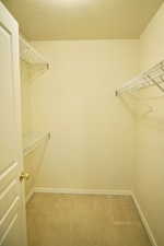 Walk in closet with light carpet