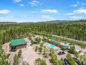 Bird's eye view of a forest and a pool