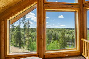 Detailed view of a forest