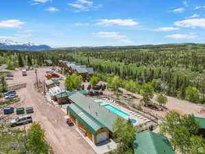 Drone / aerial view of a forest and a pool