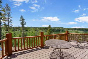 Deck with a view of trees