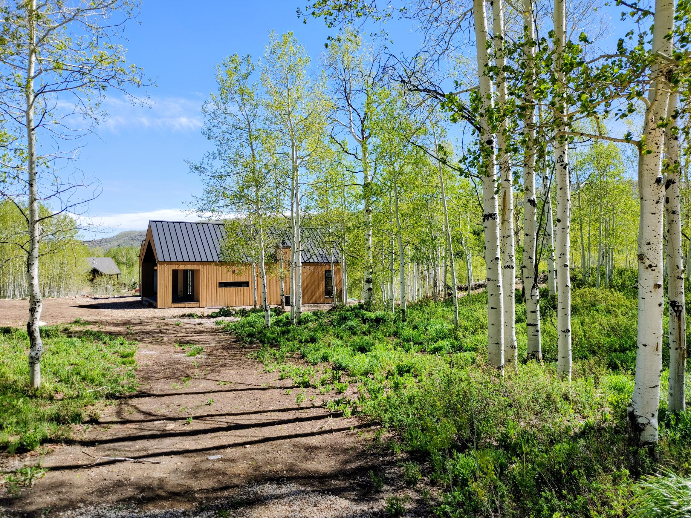 Modern wood-sided residence featuring a dark metal roof