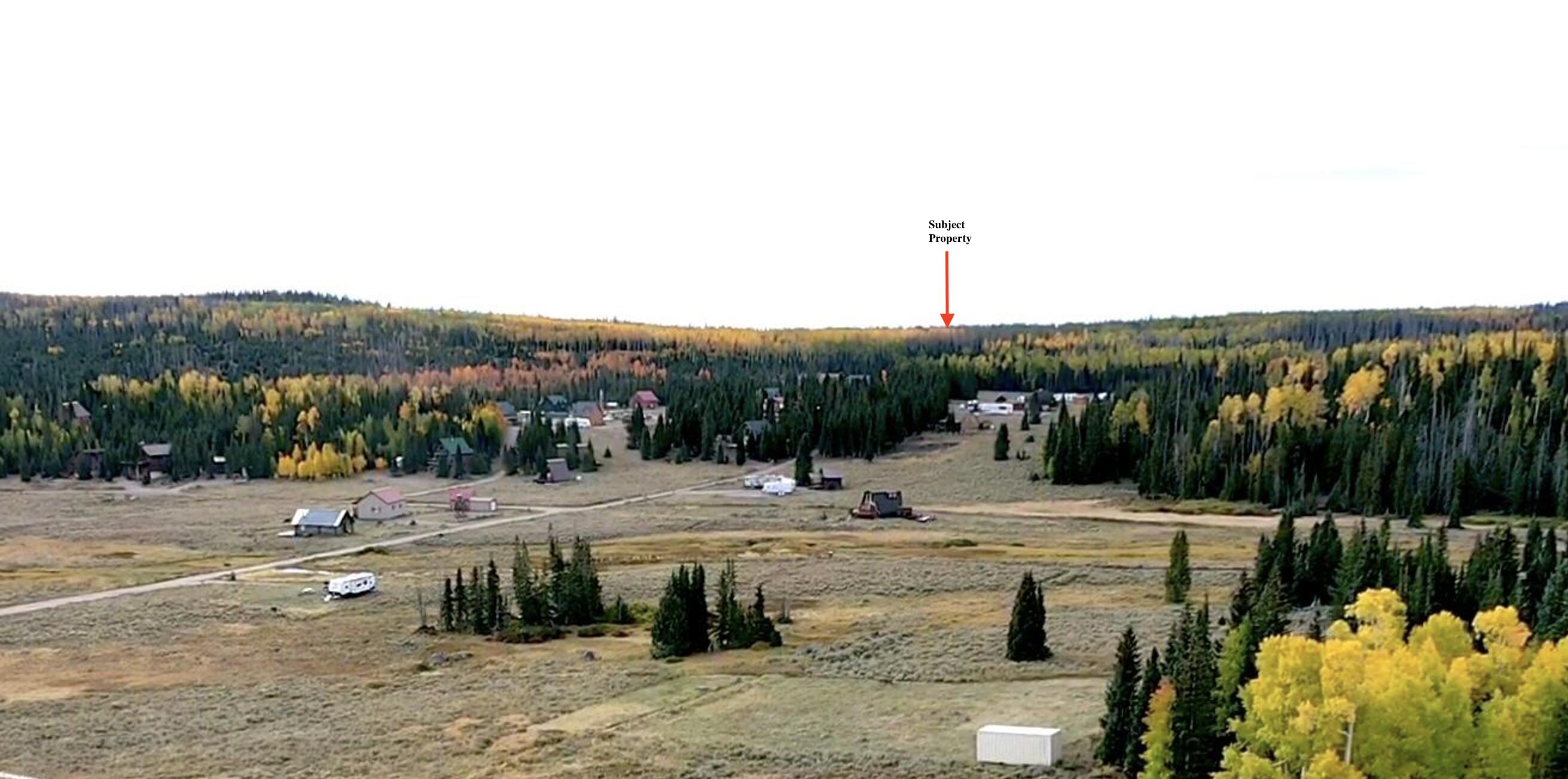 View of property's community with a wooded view