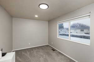 Empty room featuring light colored carpet and a textured ceiling