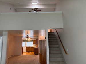 Stairway with ceiling fan, carpet, and a textured ceiling