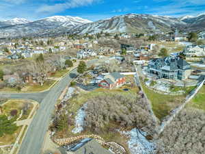Aerial view of residential area with a mountain backdrop