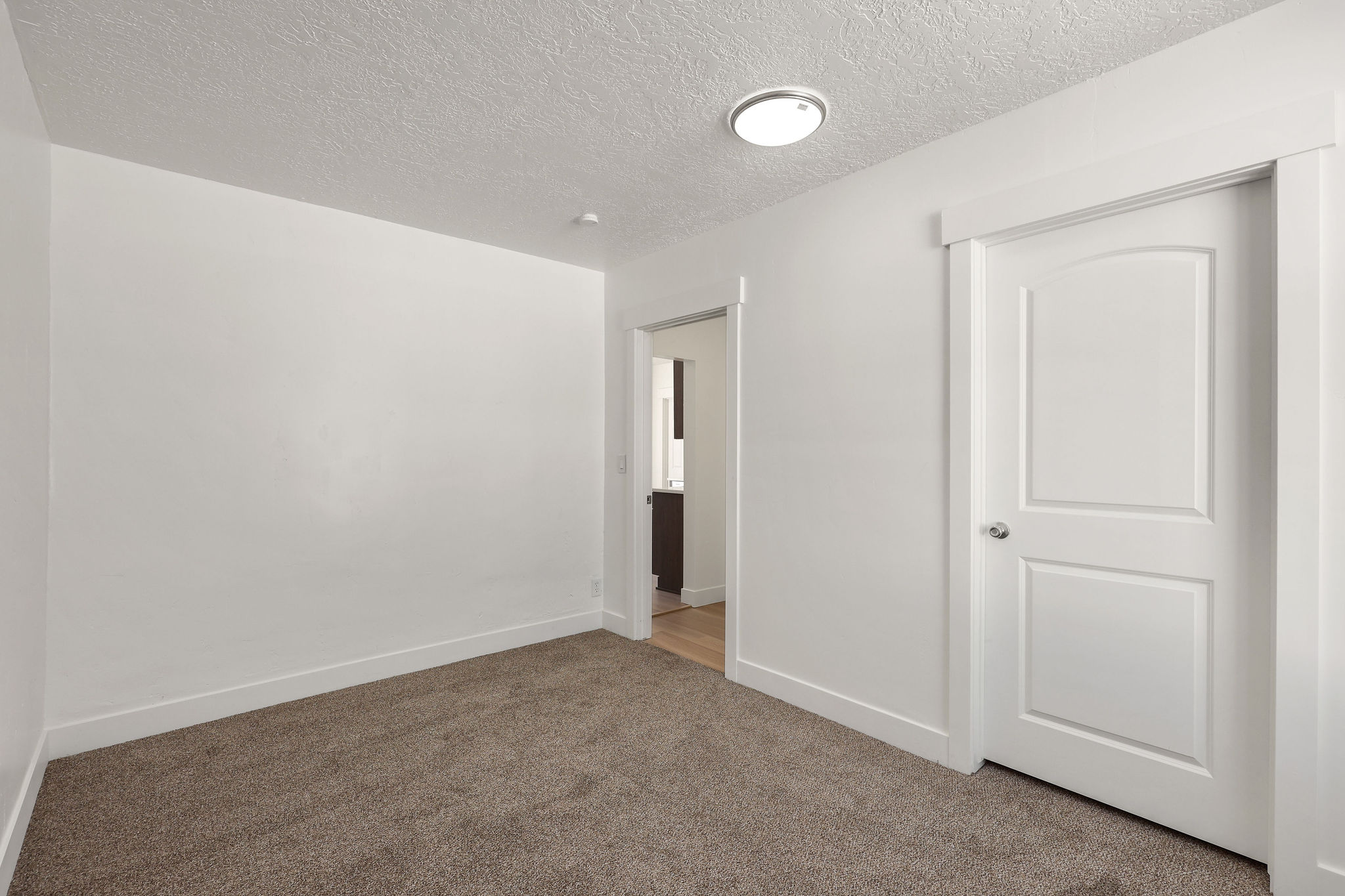 Unfurnished bedroom featuring carpet flooring, a textured ceiling, and a closet